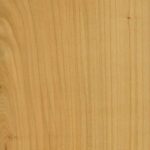 Kirschbaum europäisch